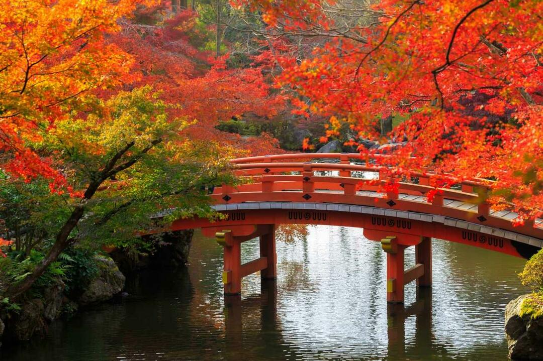 Szenen aus Kyoto