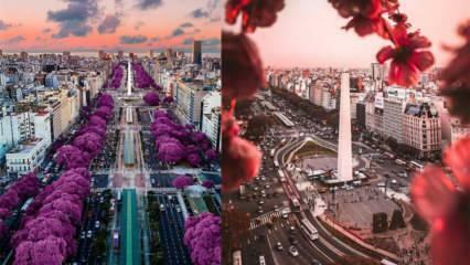 Die Stadt des guten Wetters: Sehenswürdigkeiten in Buenos Aires!