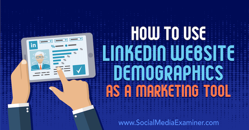 Verwendung von LinkedIn Website Demographics als Marketing-Tool von Daniel Rosenfeld auf Social Media Examiner.