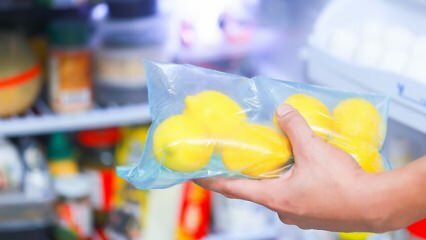 Wie lagere ich Zitronen im Kühlschrank? Vorschläge, damit die Zitrone nicht schimmelt
