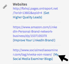 Während Sie Ihre LinkedIn-Profillinks nicht mehr anpassen können, können Sie Beschreibungen daneben einfügen.