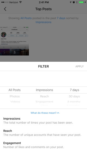 Instagram Business Profile Insights Filter