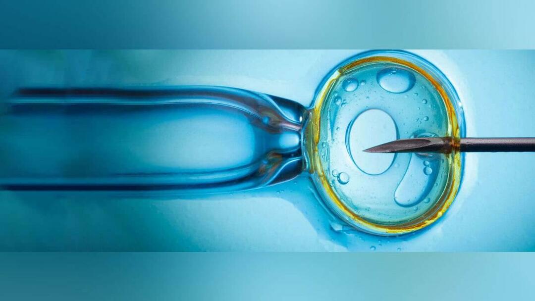Die Behandlung einer In-vitro-Fertilisation wird vom Staat übernommen