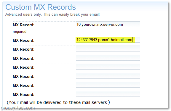 Übergeben Sie Ihre Live Services MX-Serverinformationen auf die Seite mit den erweiterten Optionen Ihrer Domain für benutzerdefinierte MX-Einträge