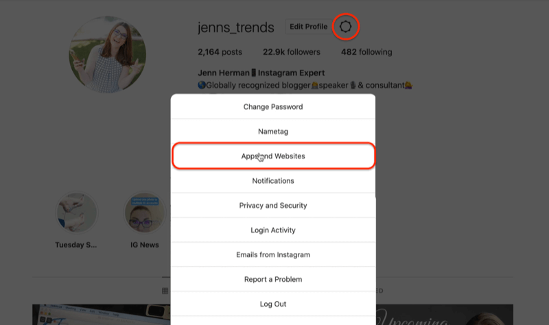Menüoptionen für das Instagram-Profilzahnradsymbol zum Bearbeiten der Einstellungen, wodurch die Option Apps und Websites hervorgehoben wird