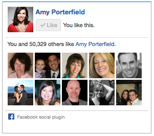 Amy Porterfield Facebook wie Box