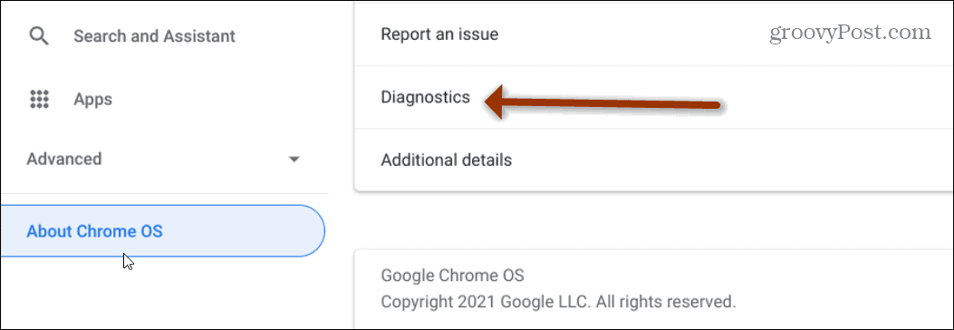 Chromebook-Diagnose