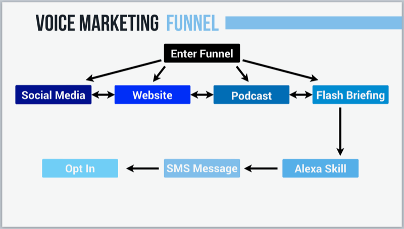 Grafik zeigt Voice-Marketing-Strategie