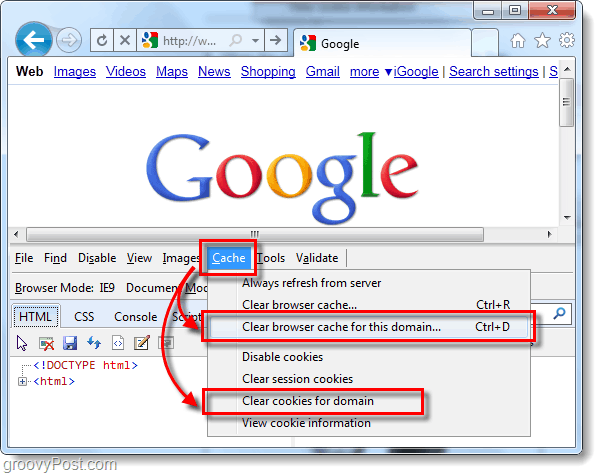 So löschen Sie den Internet Explorer 9-Cache und Cookies für einzelne Websites