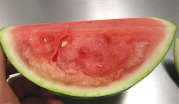 Achten Sie auf die rissige Wassermelone!