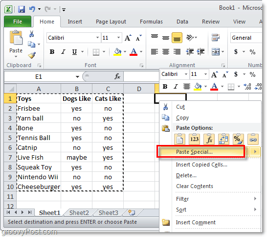Sonderfunktion von Excel 2010 einfügen