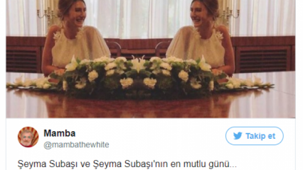 Die lustigsten Tweets über Şeyma Subaşı