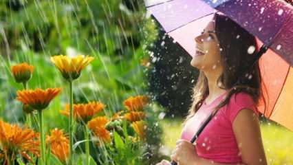 Heilt der Aprilregen? Was sind die Gebete, die ins Regenwasser eingelesen werden sollen? Vorteile des Aprilregens