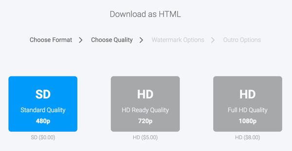 Wählen Sie ein Download-Format für Ihr Moovly-Video.