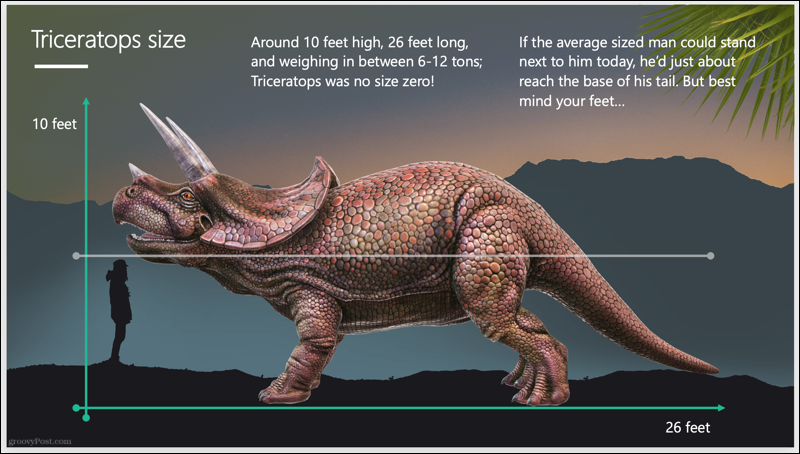 Triceratops-Diashow