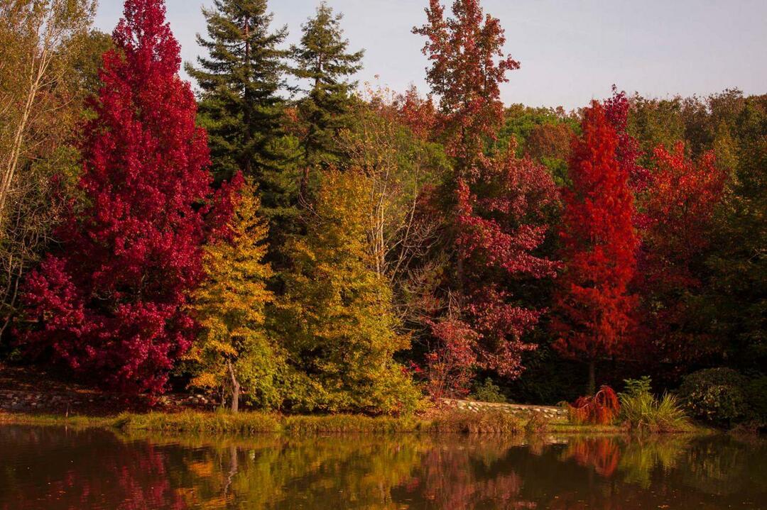 Atatürk-Arboretum