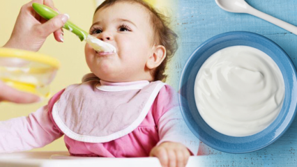Wie macht man Joghurt für Babys? Hausgemachte Fruchtjoghurtrezepte für Babys