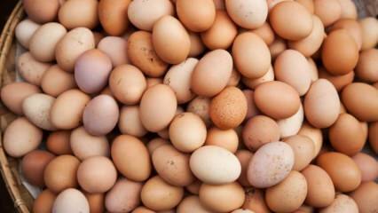 Was ist bei der Auswahl eines Eies zu beachten?