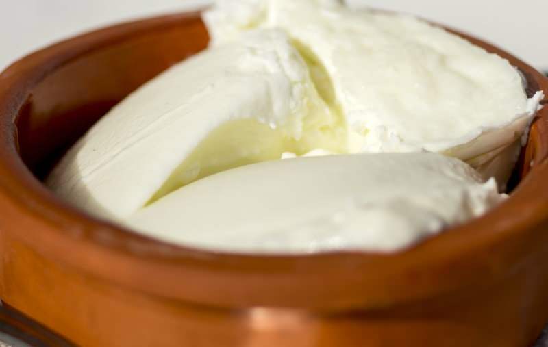 Was sind die Vorteile von Büffeljoghurt? Wie macht man Wasserbüffeljoghurt und wofür ist es?