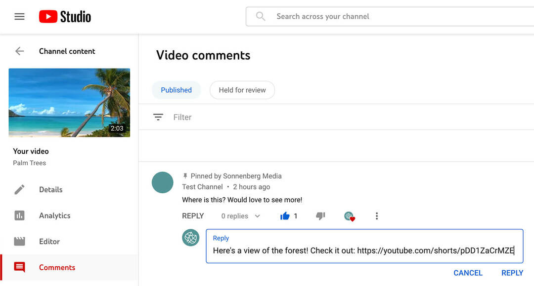 wie-nutze-youtube-shorts-commenting-feature-to-tag-and-mention-commenters-antworting-to-original-comment-with-text-comment-example-14