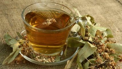 Was sind die Vorteile von Linden? Für welche Krankheiten ist gut? Wie Linden Tee machen?