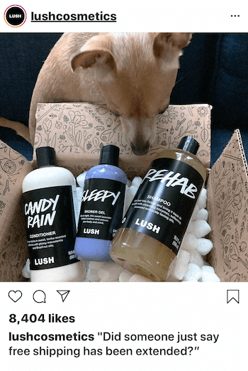 Instagram Geschäftsposten mit Hund