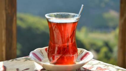 Woran erkennt man, ob der Tee von guter Qualität ist? Möglichkeiten, die Qualität von Tee zu verstehen