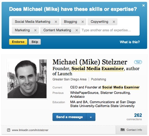 Michael Stelzner Linkedin Skills Endorsement