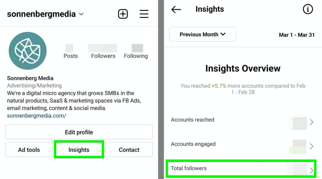 Bild der Option Instagram Insights Total Followers
