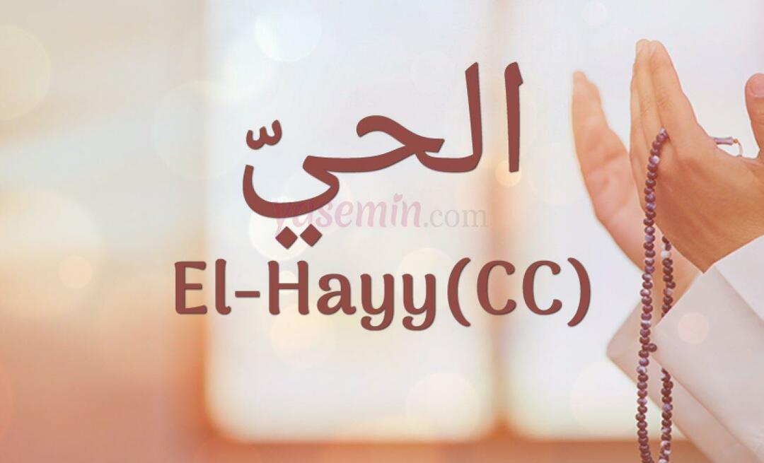 Was bedeutet El-Hayy (cc) von Esma-ul Husna? Was sind die Tugenden von Al-Hayy (cc)?