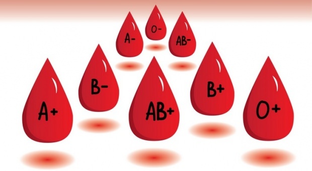 Was macht die Blutgruppendiät?