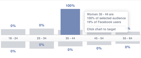 Facebook Publikum Einblicke Alterssegment